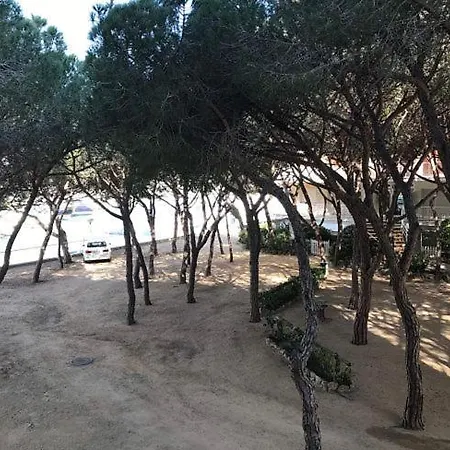 Apartment Cibeles 1-5